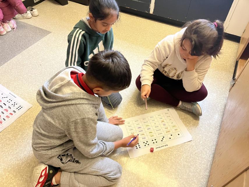 Roll and Read Literacy Activity 